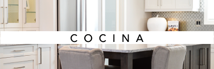 imagen de una coina-adaptada pra celular