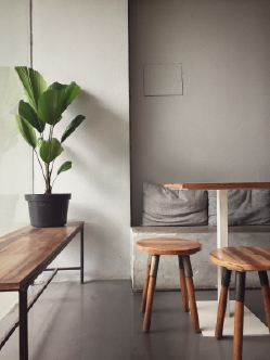otografía de una sala con sillas de madera sin espaldar, acompañada con una planta